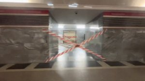 Без остановки!Проследование ст.м.Чернышевская (из окна метропоезда "Юбилейный")