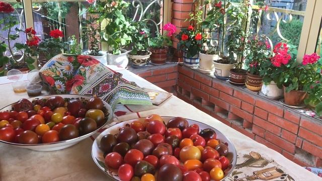 Самый простой способ заморозки томатов ( заготовки на зиму ) смотреть онлайн