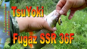 Рыбалка на спиннинг после дождя. Разловил воблер TsuYoki Fugaz SSR 36F .