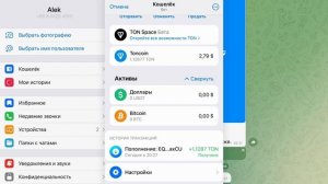 Криптокошелёк в Telegram. Пополнение, возможности, какие недостатки и комиссии. Краткий первый обзо