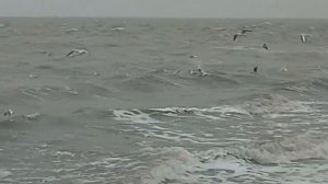 Обычный прилив на азовском море.