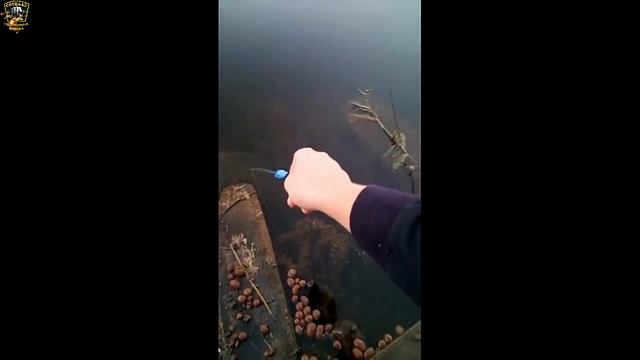Подборка необычных моментов на рыбалке/Клёвая рыбалка 2022/Случаи на рыбалке/ВЕСЁЛАЯ РЫБАЛКА/