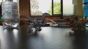 блю и бета VS пирораптор и дилафозавр???