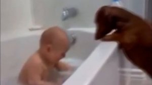 Собаки и дети, лучшие друзья. Dogs and Baby, the best video. (Перезалив)