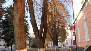 Прогулка по старому Пинску