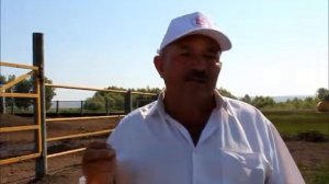 Конеферма в селе Чулла Тетюшского района