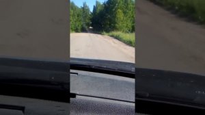 Дорога села Шаткино в старый Чирчим Пензенская область