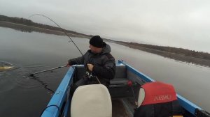 Курсы лайвскоперов, ОПЯТЬ РЕКОРД!