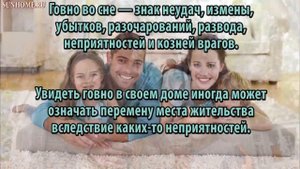 К чему снится Говно сонник, толкование сна