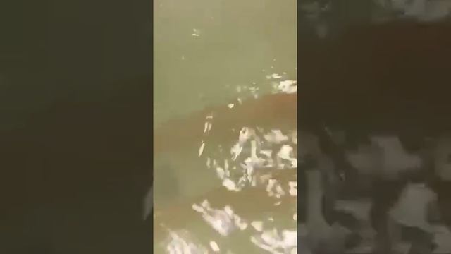 Рита Митрофанова у нас в гостях смотреть онлайн