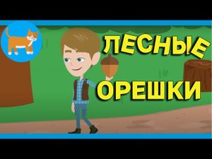 Лесные орешки | КОТИК НОТИК Детские песни / мультики