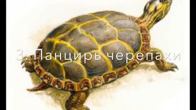 Домики, которые построила природа. смотреть онлайн