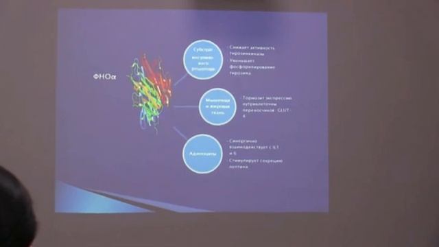 Лекция "Метаболический синдром. Механизмы инсулинорезистентности"