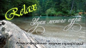 ⚜️ 4K Звуки природы|лесное озеро, пение птиц, шум воды | relax, ручей, медитация, журчание воды йога