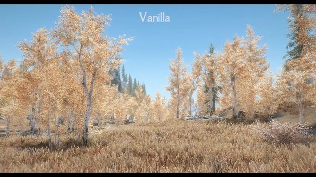 Skyrim SE Mod: Skyrim 3D Trees - A Realistic Tree Overhaul