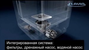 Обзор особенностей посудомоечных машин Flavia BI 45 (60) Kaskata Light