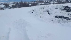 ДТ 75 слабые места КПП, гребёнка ПЛН 4 35