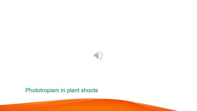 Biology Grade 12 unit 5 Part 1 смотреть онлайн