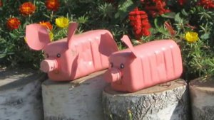 Классика украшений для дачи - поросята из пластиковых бутылок