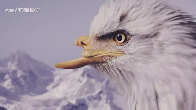 A ÁGUIA E O CRISTÃO - O Vídeo Mais LINDO e EMOCIONANTE Que Você Verá Hoje смотреть онлайн