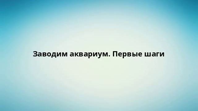 Заводим аквариум. Первые шаги смотреть онлайн