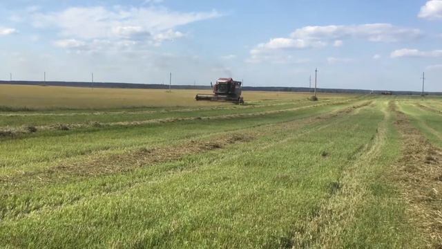 Уборка ячменя в Беларуси 2018!Часть 2 смотреть онлайн