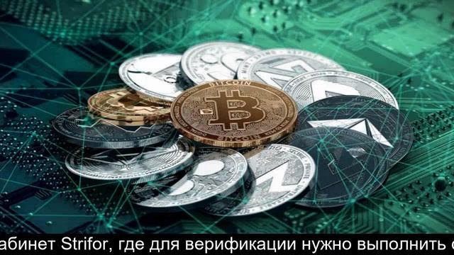 Strifor верификация смотреть онлайн