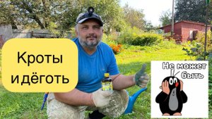 Действенный способ борьбы с кротами.