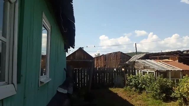 Ласточки учат летать своих птенцов смотреть онлайн