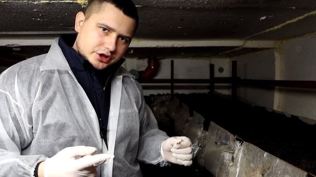 #10 Бизнес В Гараже | Рыхление Покровки | Выращивание Шампиньонов смотреть онлайн