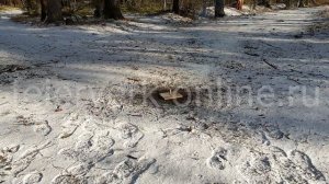 Испытываем мощные петарды Crazy Robots JF KR