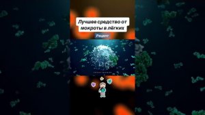 Лучшее средство от Макроты в Лёгких !!!!!!