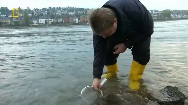 Путешествие по реке Рейн. Познавательное видео. смотреть онлайн