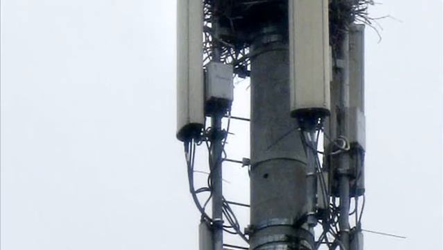 А ВЫ ЭТО ЗНАЛИ? КАК РАБОТАЕТ СОТОВАЯ СВЯЗЬ