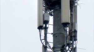 А ВЫ ЭТО ЗНАЛИ? КАК РАБОТАЕТ СОТОВАЯ СВЯЗЬ