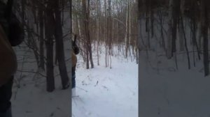 Охота в Томской области