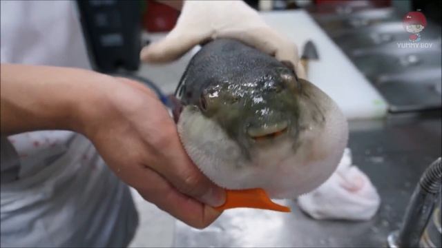 Puffer Fish Eating Carrot For 1 Hour ASMR смотреть онлайн