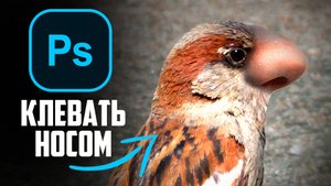 ФОТОШОПЛЮ ФРАЗЕОЛОГИЗМЫ! (Клевать Носом)