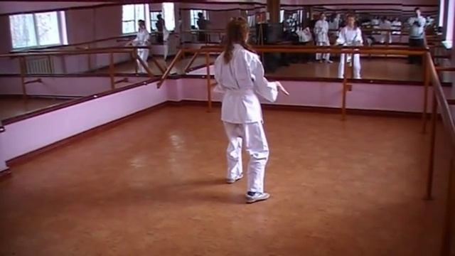 BAIHE : dynamics of movements / байхэ цюань / BLG смотреть онлайн