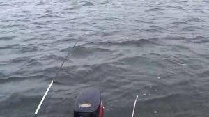 Судак на балансир. Walleye fishing