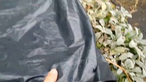 Хранение Виноградной Лозы Зимой