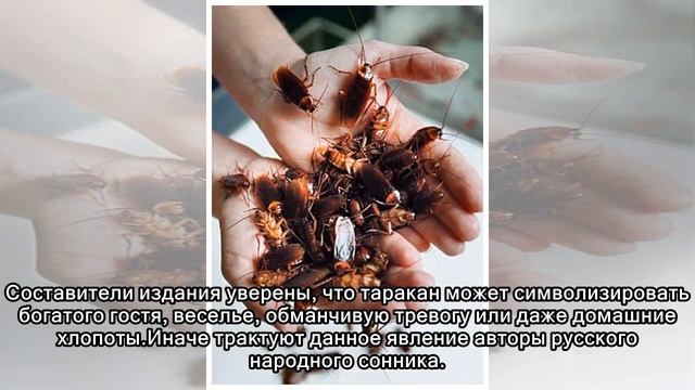 К чему снятся тараканы