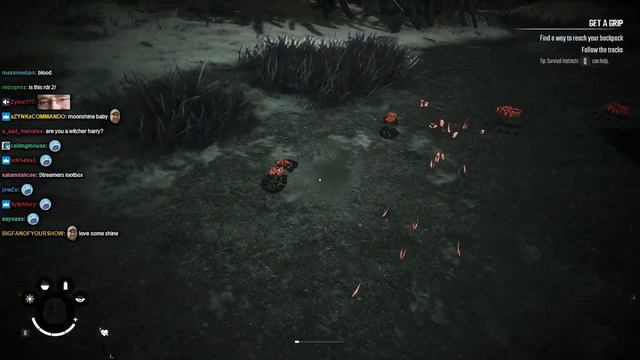 Lirik plays Winter Survival