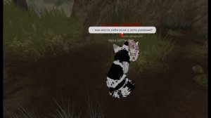 ~|как правильно проводить тест на целителя?|видио для новичков|КВ|роблокс|~