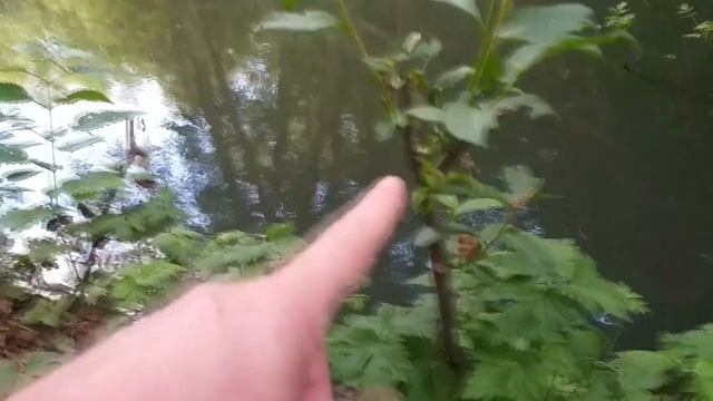 Одиночный поход на рыбалку Велосипед шашлык и молодая домашняя картошка на углях смотреть онлайн