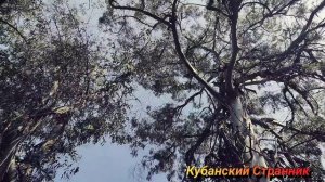 АДЛЕР САНАТОРИЙ ЮЖНОЕ ВЗМОРЬЕ музыкальное обозрение территории санатория.