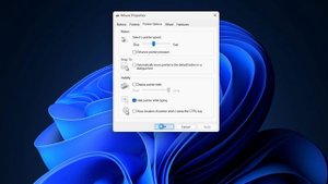 How to check Mouse DPI in Windows 11/10