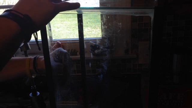 How To Remove Watermarks From Aquariums смотреть онлайн