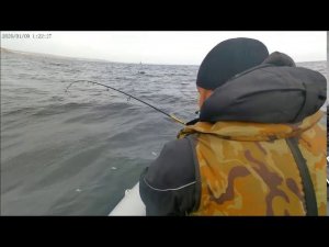 СУДАК в отвес на РАТЛИН  ВОЛГА осень 2020