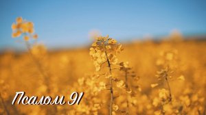 Псалом 91
